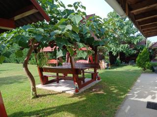 Casă de vacanță la Nea Nicu Murighiol - Tulcea - 8