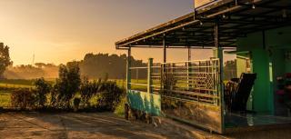 PanjaluNet Homestay - 5