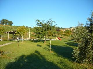 Agriturismo Biologico la Casa degli Gnomi - Ortezzano - 1