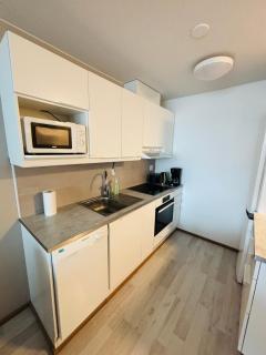 City apartment with sauna - 8