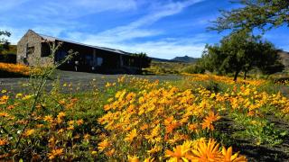 Skoorsteenberg Farm Camping & Accommodation - 7