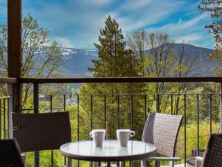 Apartment Panorama by Interhome - 6