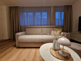 A Post, charming and newly renovated apartment in a historic 1851 house near Interlaken - 3