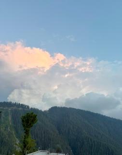 Cloud Crest - 8
