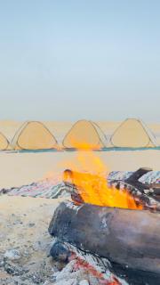 BOOK your white desert safari trip - 4