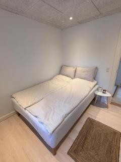 Cozy and newly renovated apartment close to Aalborg - 7