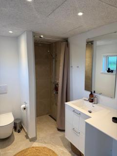 Cozy and newly renovated apartment close to Aalborg - 6