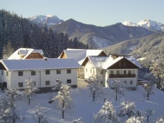 Klein Schöntal - Göstling an der Ybbs - 9