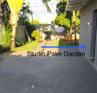 Studio Palm Garden em Nova Andradina - 7