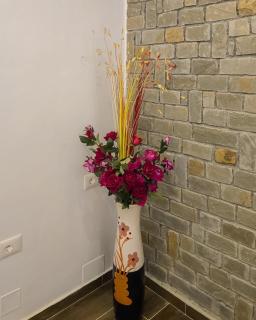 Vila Qetesia - 2