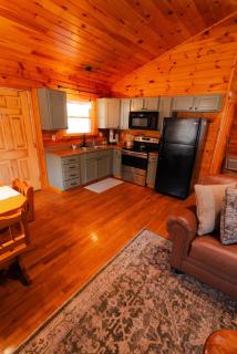 Reclusive Cozy Log Cabin Villa - 6