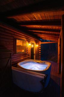 Reclusive Cozy Log Cabin Villa - 3