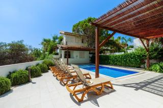 Artisan Seafront Villa - Treehouse - 9