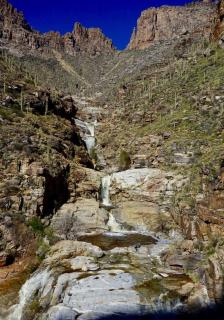 Private Pet-Friendly Casita in East Tucson - 1
