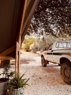 Podere Orzale Agriturismo Glamping Cavalli - 6