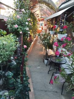 Oleander Appartman - 7