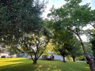 Comfort in the heart of the Ozarks - 2