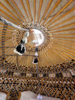 Nomads Home - 4