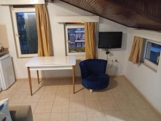 Safari Suit Hotel , Side - 1