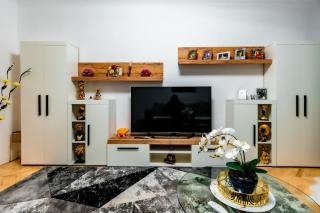 Luxury Riverside Apartment Băile Herculane - 4