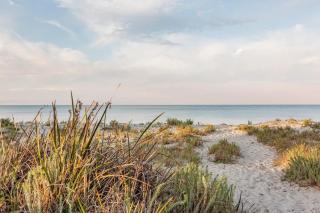 Bay Cottage - Seaside Serenity Close to Town - 6