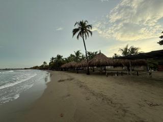 Mar y selva - 7