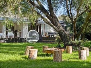 Peppermint Farm in the Heart of the South West - 0