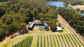 Sophie's Vineyard - Sprawling Scenery with Pool - 6