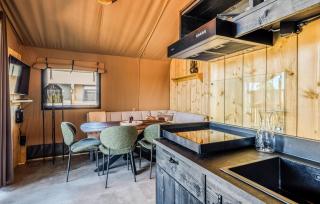 Pet Friendly Home In Voorthuizen With Wifi - 4
