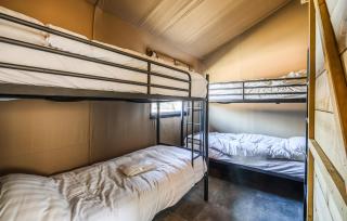 Pet Friendly Home In Voorthuizen With Wifi - 1