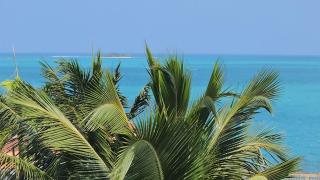 Apartamento vista al mar, frente a la playa con gran balcón - 5