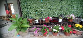 Gulzina Guest House - 7