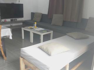 Manshi Villas - 9