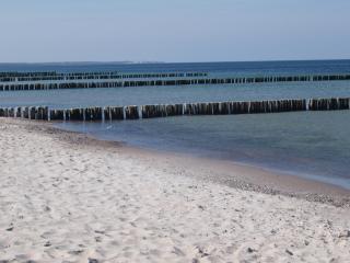 Ferienwohnung Strandläufer - Börgerende-Rethwisch - 4