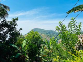 Elysium Homestay Ella - 7