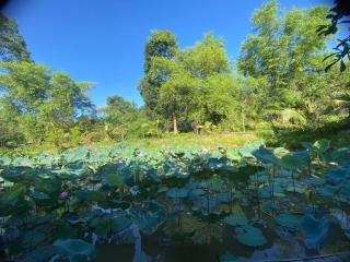 Hue's Zen Oasis - Hue - 2