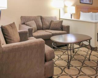 Comfort Inn Winnipeg South - 5
