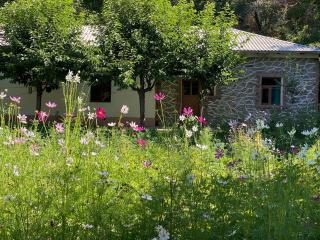Guesthouse in Hayat Village Nuratau Mountains Tours hiking in Nurota mountains and horseback and Transport services - 6