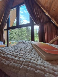 Cabana Armonia Naturii - Avrig - 9