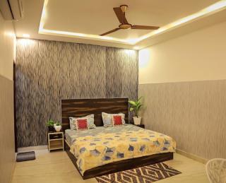 Royal Orchid - 4