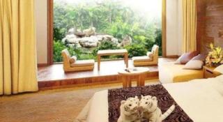 Chimelong Hotel - Cantão - 4
