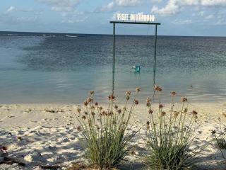 Daisy Stay Dhaandhoo - 5