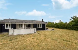 3 Bedroom Nice Home In Skjern - 0