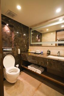 Sarovar Portico Rivera Ahmedabad - 1