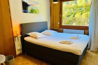 Comfort nature and exceptional Mont Blanc view - 6