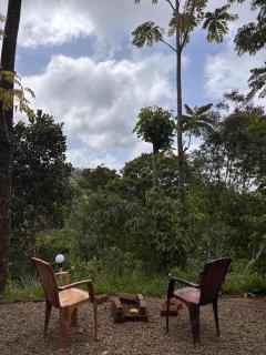 Private Tea Plantation Stay with Private Waterfall - 1