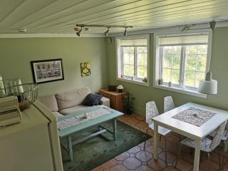 Hemsedal - 2 bedrooms - WI-FI - Hemsedal - 9