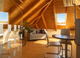 Exklusive Villa Seekirchen nahe Salzburg - 1