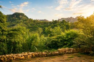 Sunrise Mount View - 6