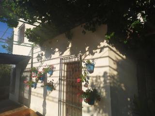 Comunidad El Olivo, 3. Olivar ecológico en Jaén - 8